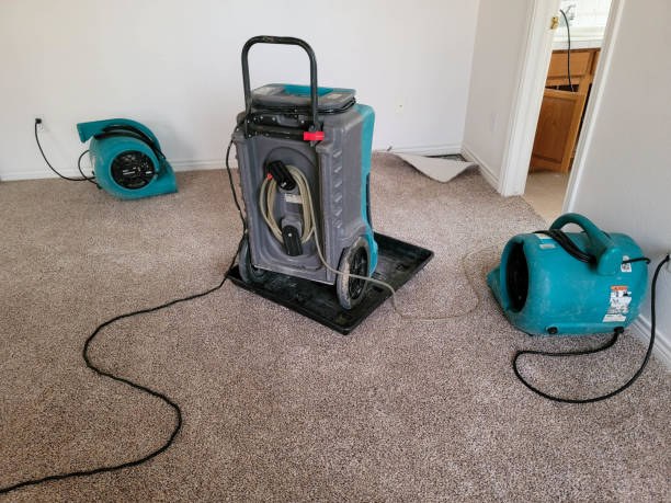 Best Water damage mitigation services  in Fris, CO