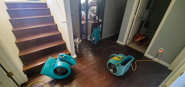 Best Flood damage cleanup  in Fris, CO