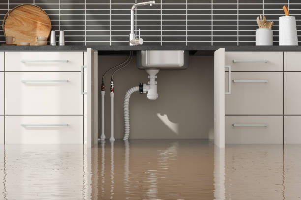 Best Flood restoration services  in Fris, CO