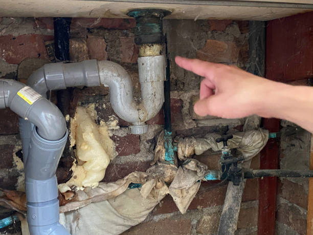 Best Water damage restoration near me  in Fris, CO